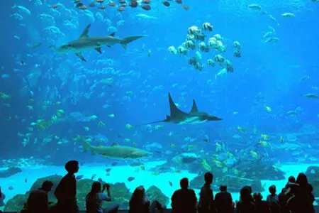 a9374281 3d4b 4648 97ff f0bdeddc6daf 68a4e25d4ff7e038354073.png.jpeg