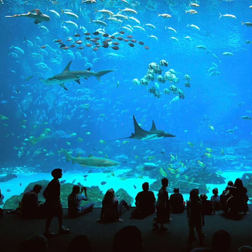 8e49f794 70a3 477b bf54 ece065d2e347 68a4e25545744043190644.png.jpeg